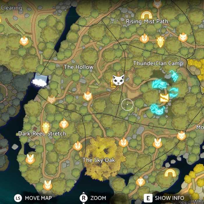 ThunderClan Sun Spots Locations