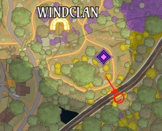 WindClan Territory