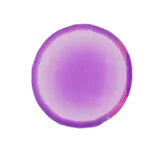 GPO SP Reset Essence