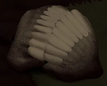 House 2 rotten apple floating in toilet bowl leading to Mud World Nihilist route