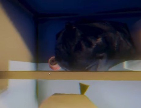 The Plant Shop Day 3 House kitchen fridge open revealing hidden eye inside