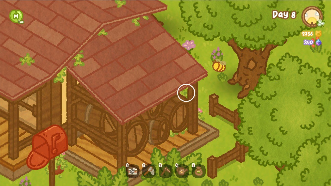 Frog Island Home backside showing hidden Mint Pearl zoom location