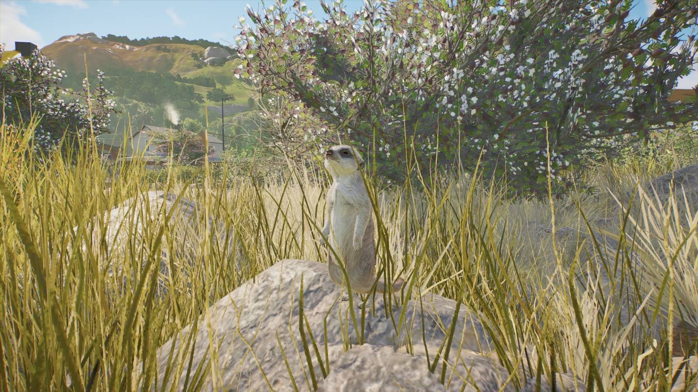 Planet Zoo 2 Animal Tier List Guide Best Fox